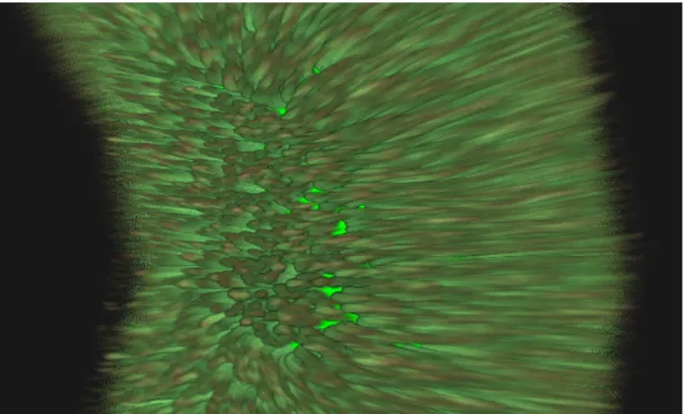 Figure 3.8: Shells rendered with the tangent values