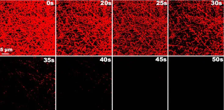 Figure 6.  Real time visual monitoring of Hg 2+  detection. Time dependent CLSM images and their  corresponding spectra of AuNC*PCL-SNF upon addition of 100 ppt Hg 2+ 