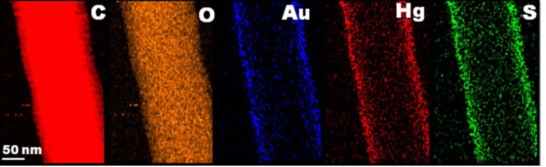 Figure 7.  EDX mapping of C, O, S, Au and Hg elements presents in the AuNC*PCL-SNF confirms that the  mercury is adsorbed on the NF surface.