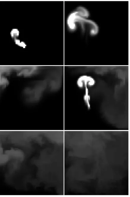 Figure 4.4: Smoke Simulation in 2D with time step 0.2 and grid size 60x60