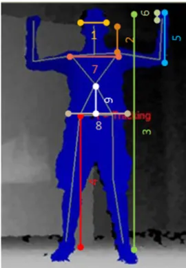 Fig. 4. Human body proportions.