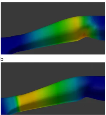 Fig. 7. Comparison of a 901 yaw rotation on the forearm with: (a) single- and (b) double-boned skinning.