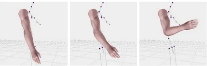 Figure 6: Muscular deformation on the skin mesh.