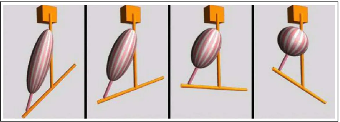Figure 2.5: The modeling of volume-preserving ellipsoid (reproduced from [41])