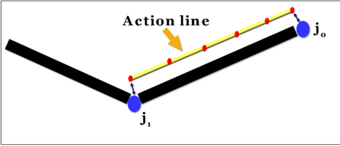 Figure 4.1: Action line abstraction of a muscle