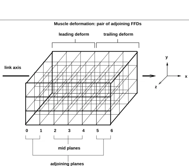Figure 2.2: Muscle primitive as a pair of adjoining FFDs [Courtesy of J.E.