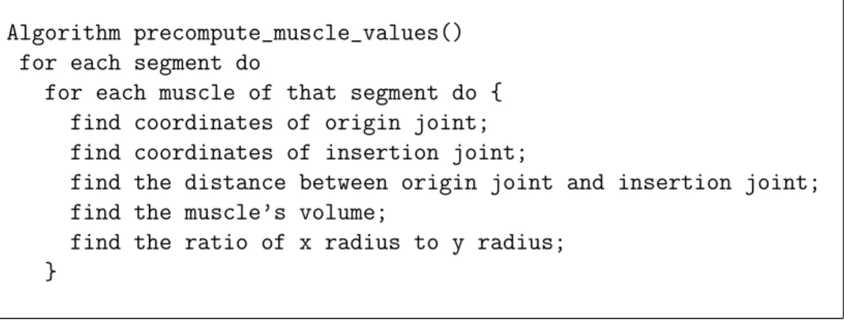 Figure 3.8: The algorithm for muscle values.