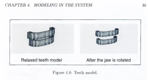 Figure  4.8:  Teeth  model.