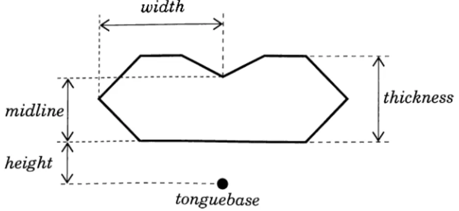 Figure  4.10:  The  parameters  of  tongue.