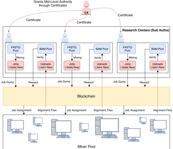 Figure 2. Three-layered structure of Coinami. Root authority issues certificates to research centers, which enables them to distribute HTS jobs to miners.
