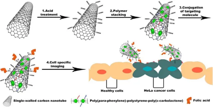 Figure 8. Schematic representation of conjugation process and cell specific imaging. Reprinted (adapted) with permission from American Chemical Society