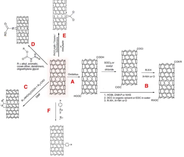 Figure 5. Covalent functionalization of CNTs; oxidation (A) and further esterification and amidation reactions (B), 1,3 dipolar cycloaddition (C), nitrene cycloaddition (D), carbine cycloaddition (E) and radical addition of aryl diazonium salt (F)