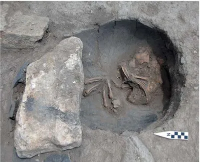 Fig. 6. Photo of the F100 infant jar burial in the Pre- Pre-Omphalos Building Phase in trench LSS 4.