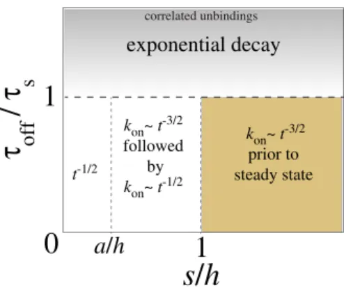 FIGURE 9 Summary of on-rate scaling behaviors predicted for various systems. Along the dashed lines, the on rate follows a ð1=2Þ exponent.