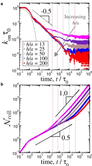 FIGURE 4 (a) Rescaled on rates as a function of the rescaled simulation time for various reservoir heights