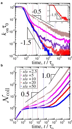 FIGURE 6 The total number of rebinding events as a function of rescaled simulation time for various rescaled heights at a fixed separation distance s/a ¼ 10