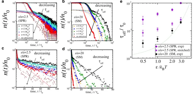 FIGURE 8 Time dependence of the fraction of binding sites that are initially occupied by ligands