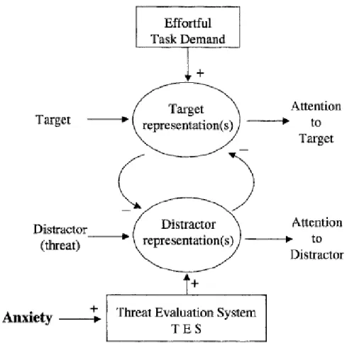 Figure 1.1: Mathews and Mackintosh’s Cognitive processing model of anxiety