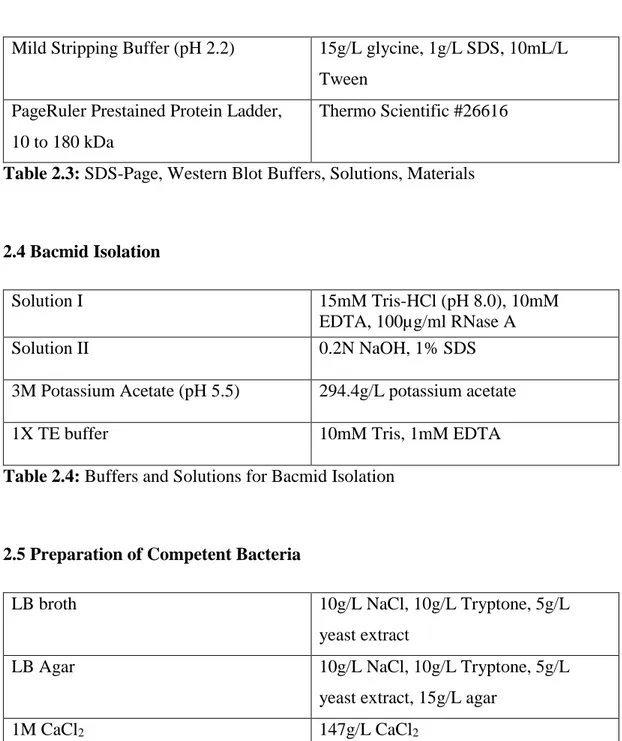 Table 2.3: SDS-Page, Western Blot Buffers, Solutions, Materials 