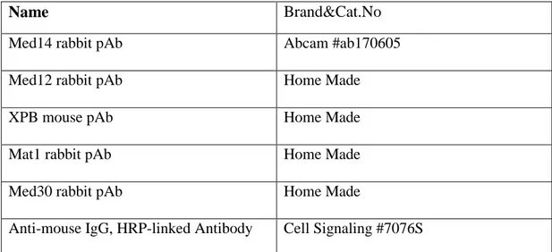 Table 2.10: List of the antibodies used in immunoblotting for Western blot 