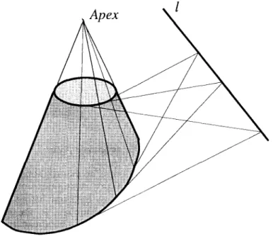 Fig.  9.  A  conic surface with line-convergent symmetry. 
