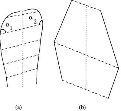 Fig.  5. Examples of (a)  skew symmetry with curved contours,  (b)  and skew symmetry with straight  contours