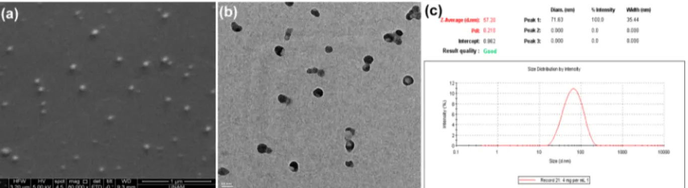 Figure 3. Stability of oligomer nanoparticles (a) in water and phosphate buﬀer (pH 7.4) and (b) in BSA, Milk, DMEM, and blood serum.