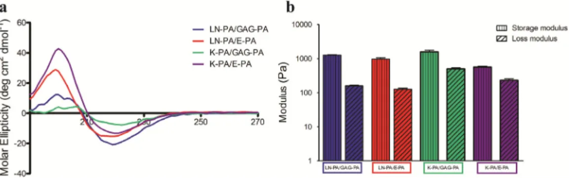 Fig. 2. Characterization of secondary structure of peptide nanostructures by circular dichroism (a)