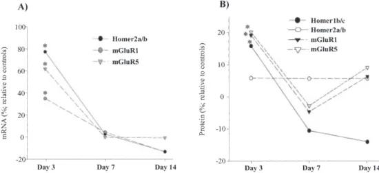 Fig . 5. Western blotting analysis for Homer1b ⁄ c and Homer2a ⁄ b in the VTA region. While microarray (data not shown) and quantitative RT-PCR (see Fig