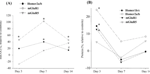 Fig . 6. Western blot analysis of the group 1 mGluR1 in the VTA. A 15%
