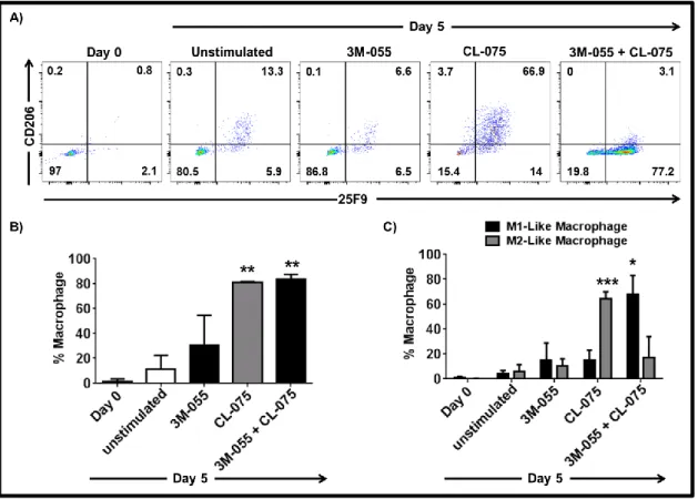 Figure  3.2:  Stimulation  through  both  TLR7  and  TLR8  is  required  for  differentiation  of  mMDSC into M1-like macrophages