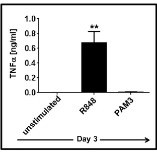 Figure 3.7: TNFα is secreted in the course of R848-induced mMDSC differentiation. 