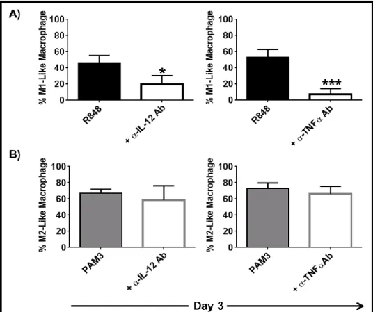 Figure  3.8:  IL-12  and  TNFα  regulate  R848-  but  not  PAM3-induced  macrophage  differentiation from mMDSC