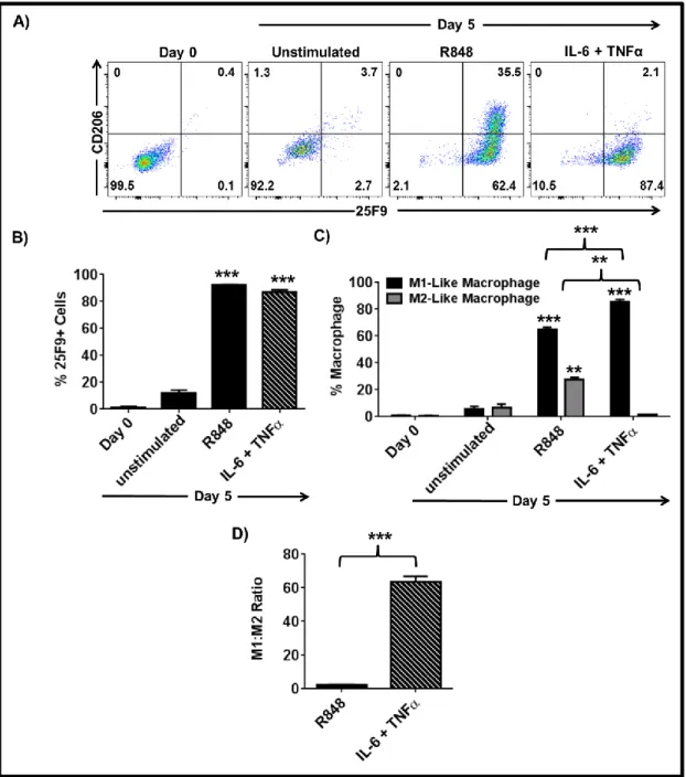 Figure  3.11:  Combination  of  IL-6  with  TNFα  is  superior  to  R848  in  generating  M1-like  macrophages