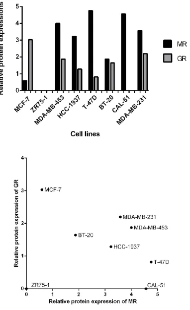 Figure 3.2: Graphical representations of MR and GR expressions in different subtypes of  breast  cancer