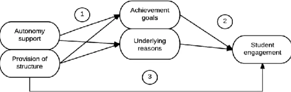 Figure 1. The steps followed in the main analysis