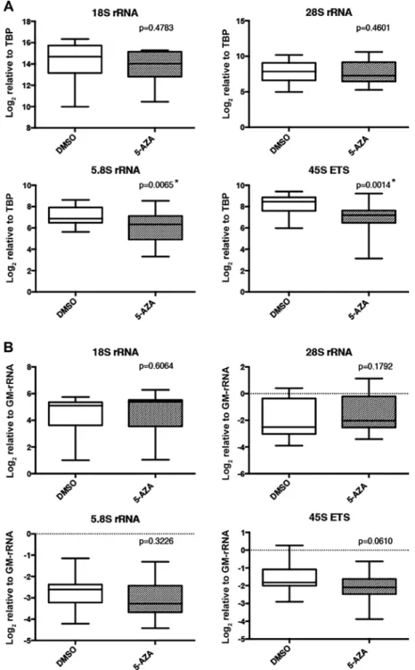 Figure 5. rRNA transcript levels in 5-AzA- and DMSO (control)-treated cell lines. (A) Expression levels of rRNA transcripts in 5-AzA- or DMSO-treated  breast cell lines