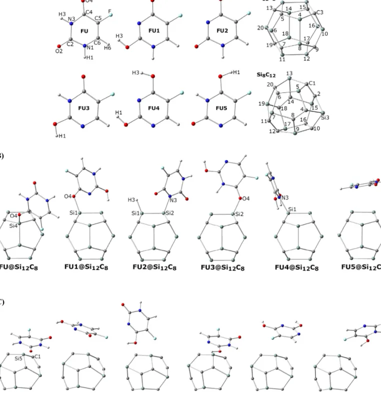 Fig. 1. (A) Individual structures of original and tautomers of FU and also individual SiC fullerene-like nanoparticles