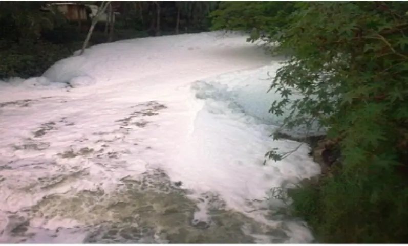 Figure  1:  Foaming  in  an  industrial effluent.  Adopted  from: Sherwood  Institute: 
