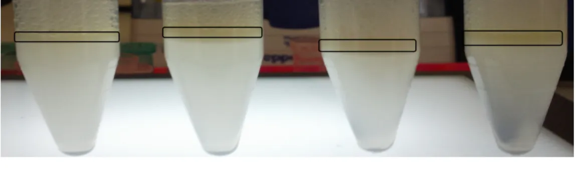 Figure  7:  Comparison  of  solvent  of  machine  oil  differences  for  5  different  samples at 1/4 dilution ratios