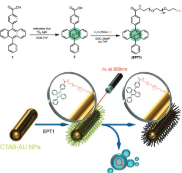 Figure 1. New photodynamics concept. Top: Synthesis of the targeted anthracene endoperoxide derivative (EPT1) for gold nanorod  function-alization