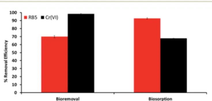 Fig. 6 The comparison of bioremoval and biosorption of RB5 and Cr( VI ) at 30 mg L 1 initial dye and heavy metal concentrations after 24 h (pH: 8.0; temp: 30  1  C; stirring rate: 100 rpm)
