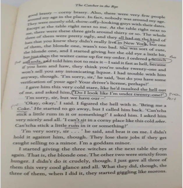 Figure 1. Data codes on The Catcher in the Rye 