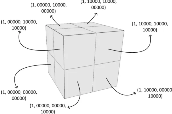 Figure 3.2: Voxel indices in (voxel level, x-index, y-index, z-index) format at level 1