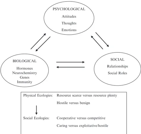 Fig. 2.1 Biopsychosocial and ecological interactions