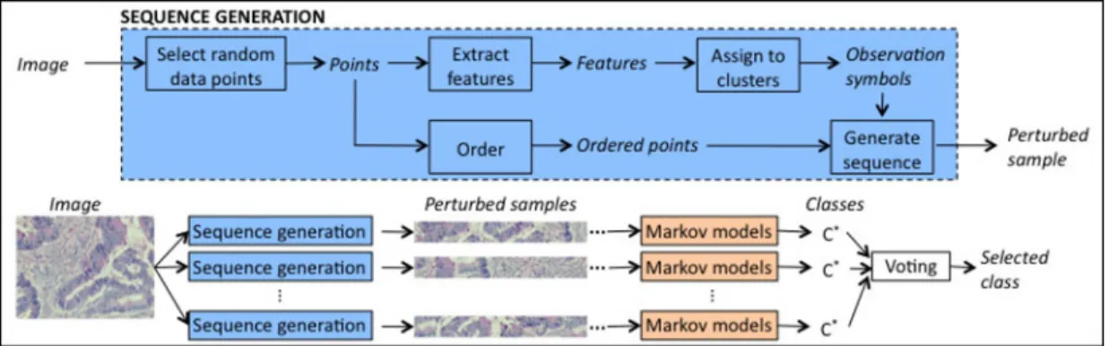 Fig. 4. A schematic overview of the proposed resampling-based Markovian model (RMM) for classifying a given image.