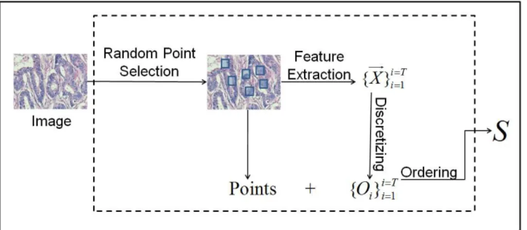 Figure 3.1 illustrates the general outline of the perturbed sample generation.