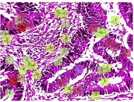 Figure 3.2: A quantized image and a sample sequence.