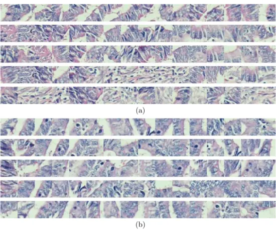 Figure 3.3: Sequences generated for the tissue images given in Figures 1.2(c) and 1.2(d)