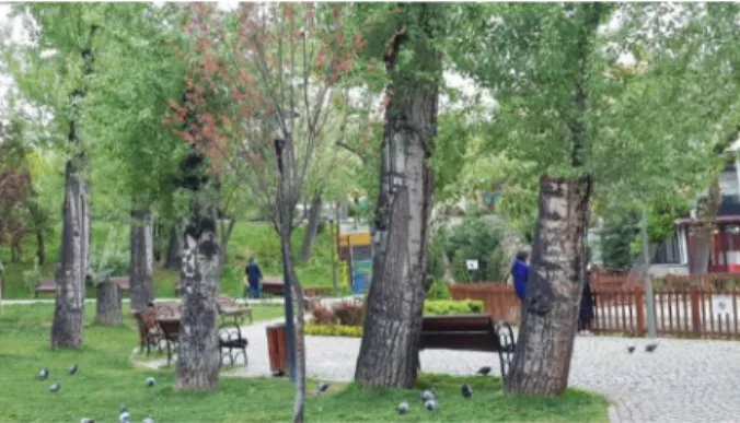 Figure  6.  Kugulupark  as  an  urban  oasis  (Gulnur  Kaptanoglu)  (www.gezirehberleri.com)